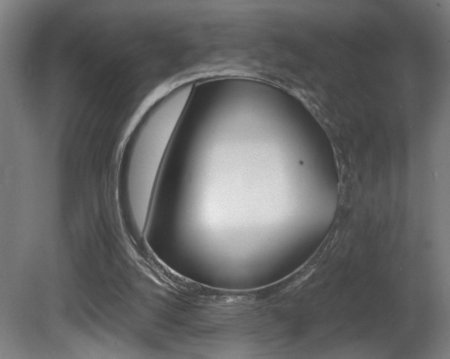 X0000081310056200701111013
