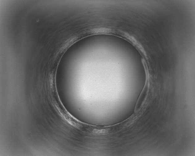 X0000081310057200701111013