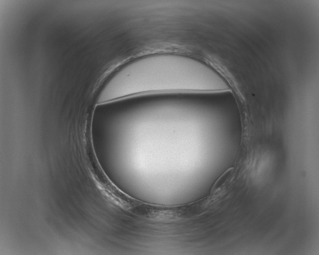 X0000081310058200701111013