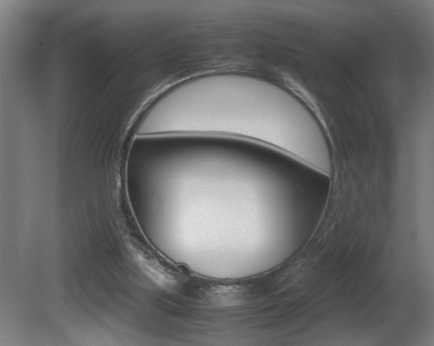 X0000081310059200701111013