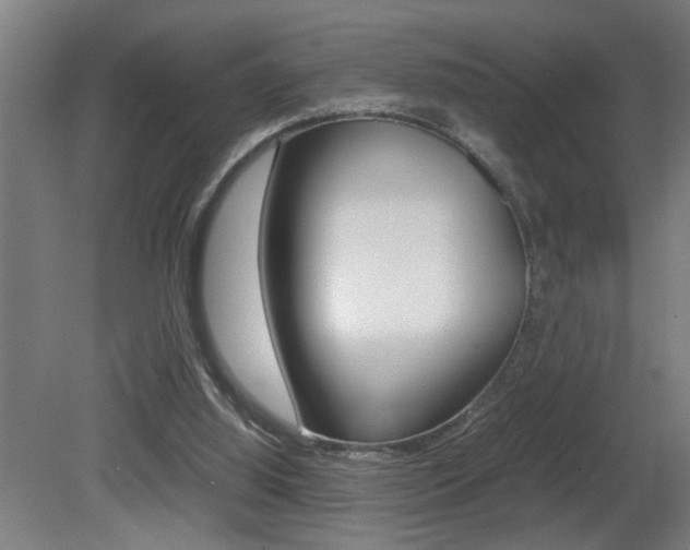 X0000081310060200701111013