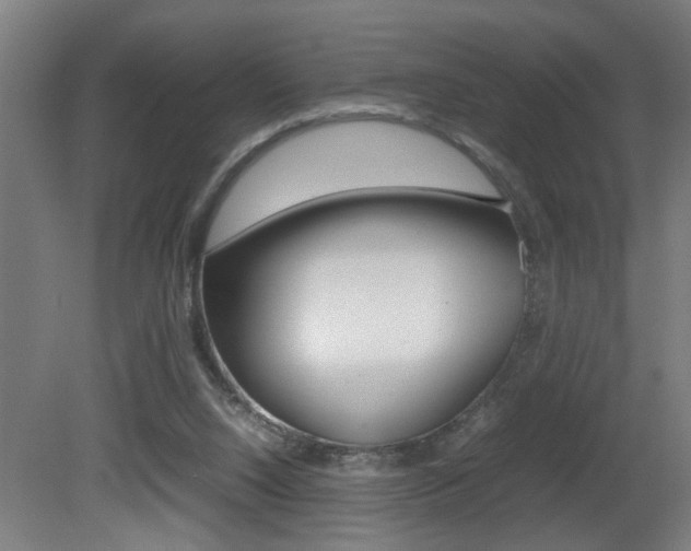 X0000081310064200701111013