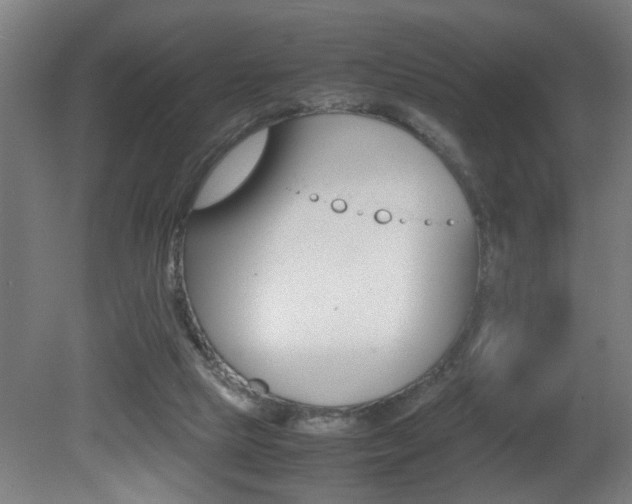 X0000081310065200701111013