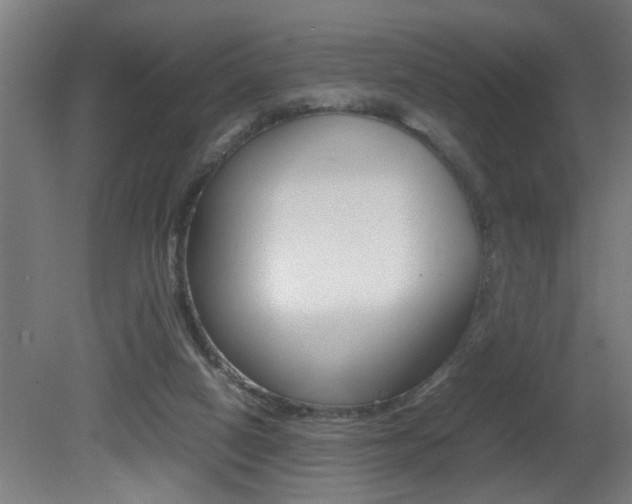 X0000081310066200701111013