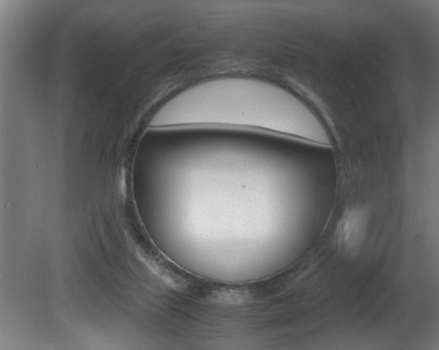 X0000081310067200701111013