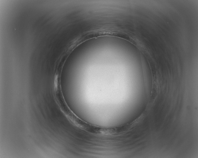 X0000081310070200701111013