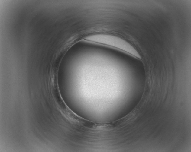 X0000081310072200701111013
