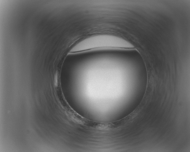 X0000081310076200701111013