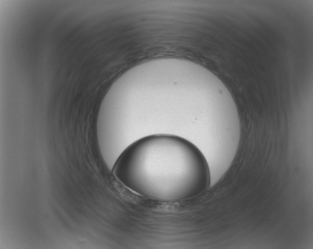 X0000081310080200701111013