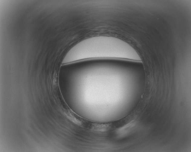 X0000081310081200701111013