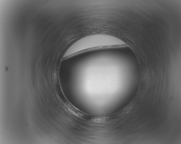 X0000081310084200701111013