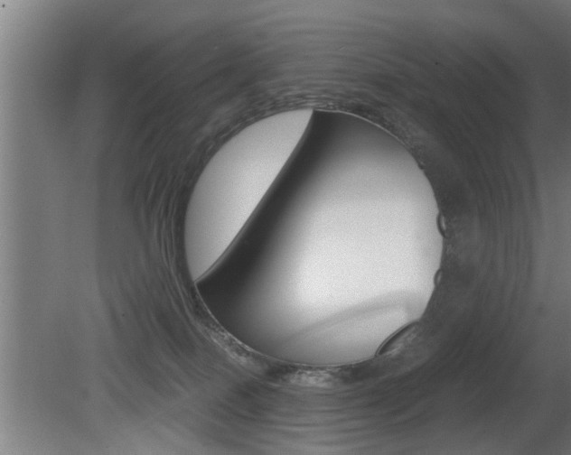 X0000081310086200701111013