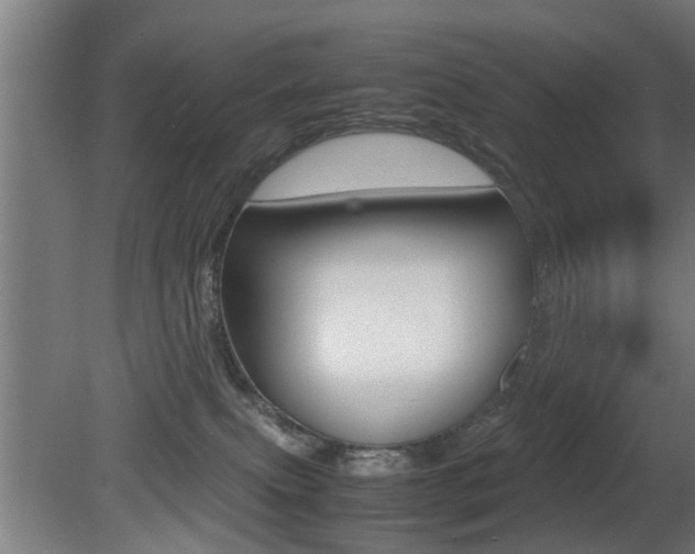 X0000081310087200701111013