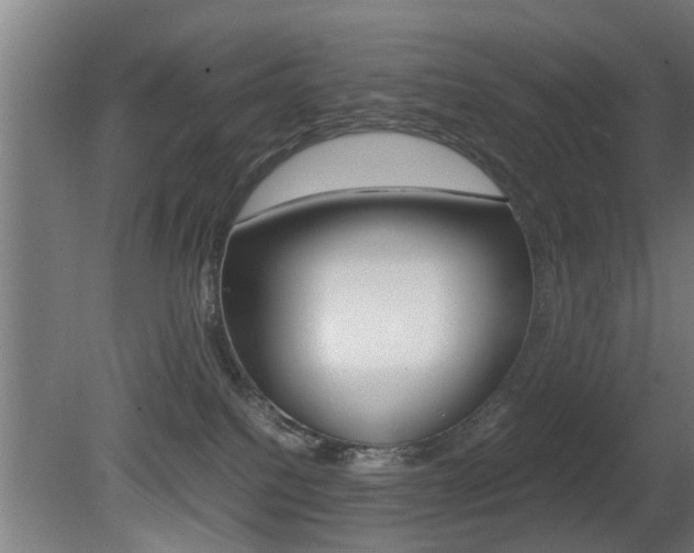 X0000081310088200701111013