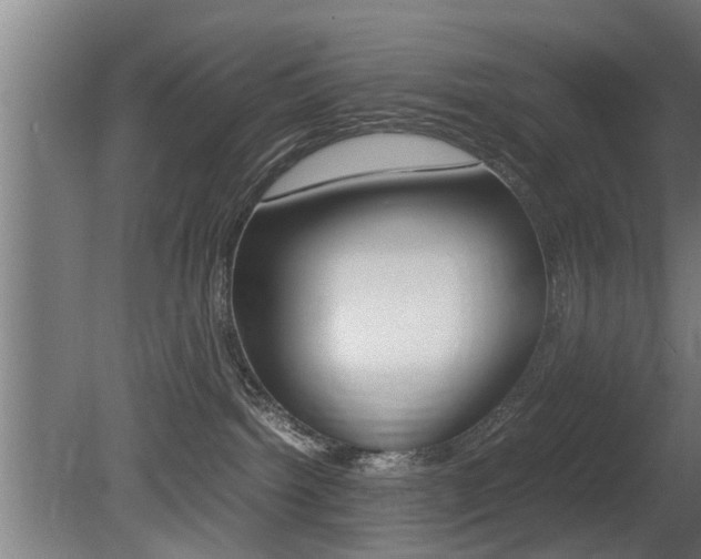 X0000081310092200701111014