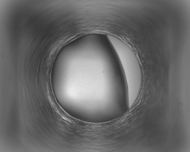 X0000081310097200701111013