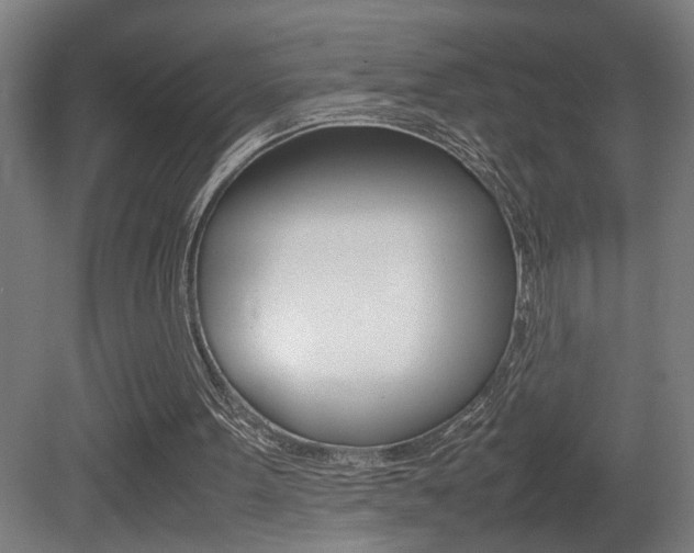 X0000081310099200701111013