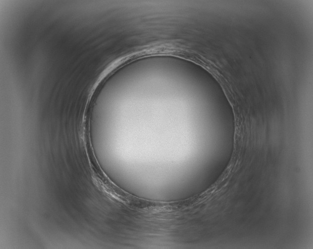 X0000081310100200701111013