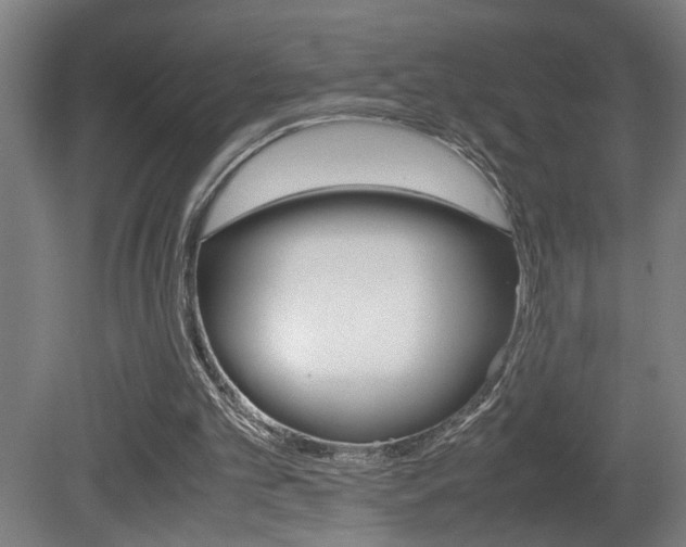 X0000081310101200701111013