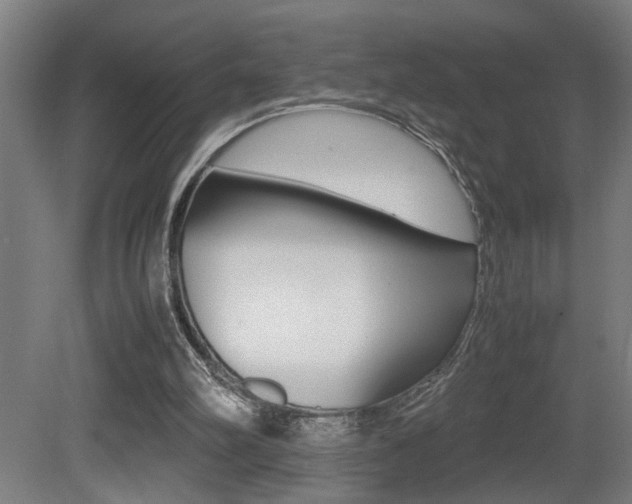 X0000081310102200701111013