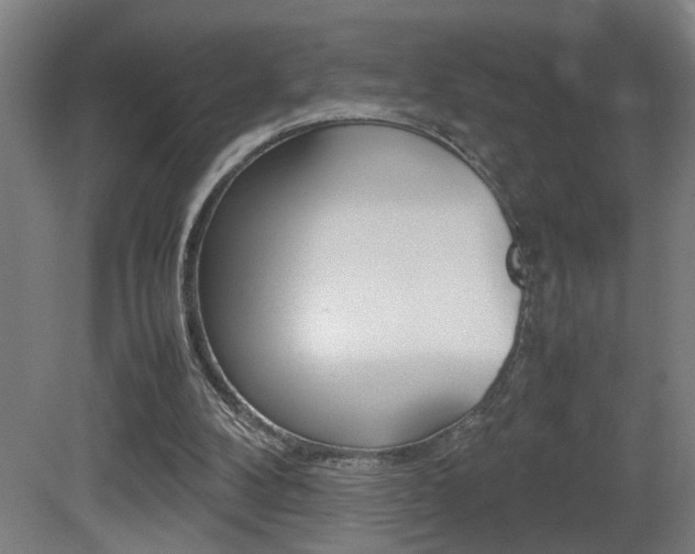 X0000081310104200701111013