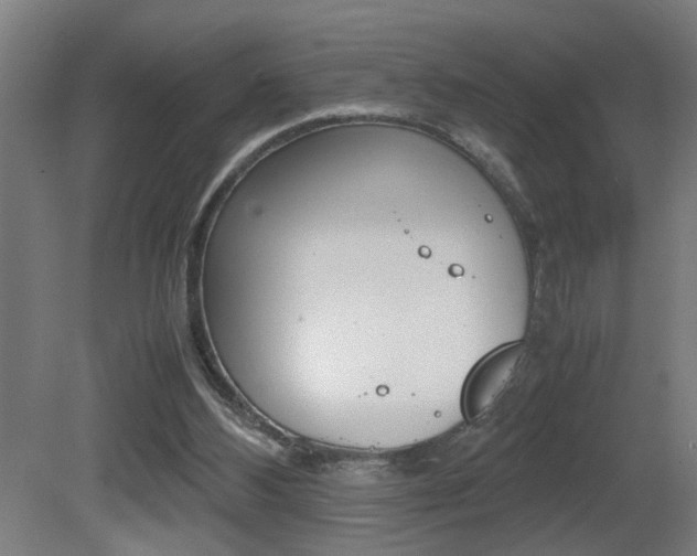 X0000081310108200701111013