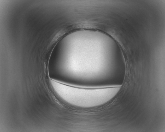 X0000081310109200701111013