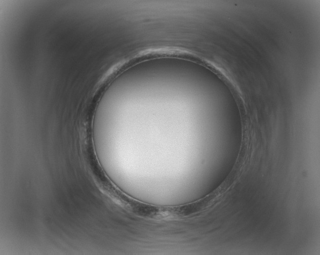 X0000081310111200701111013