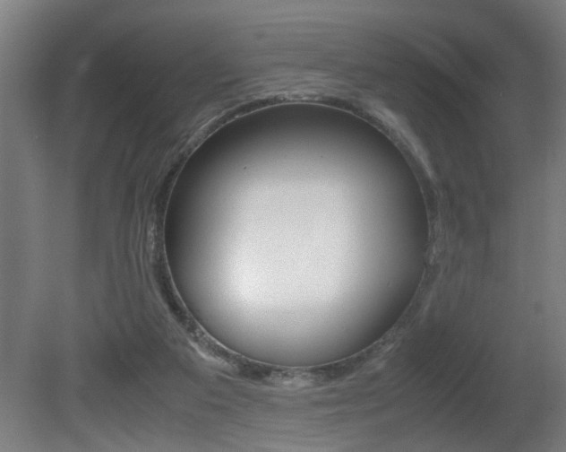 X0000081310113200701111013
