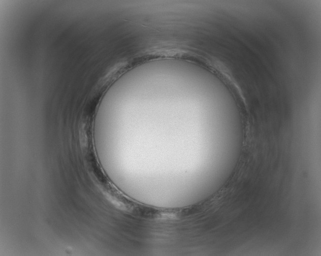 X0000081310114200701111013