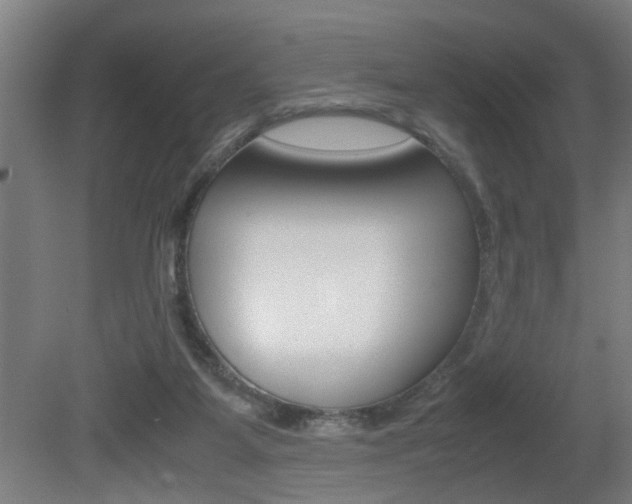 X0000081310115200701111012
