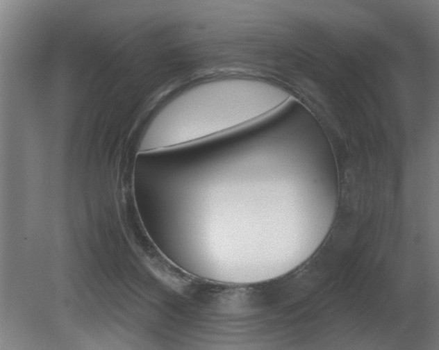 X0000081310116200701111012