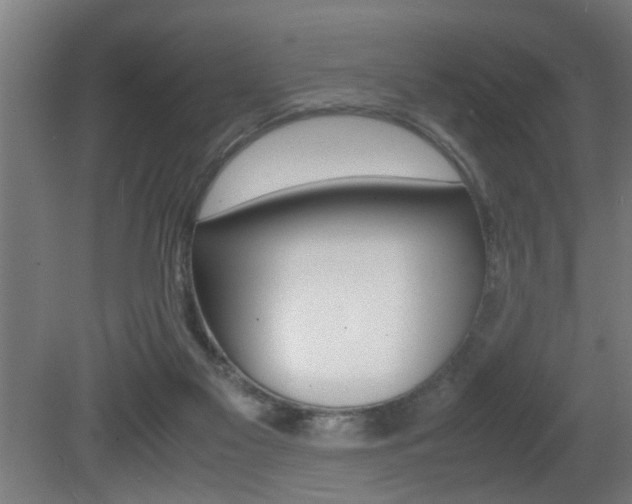 X0000081310117200701111012