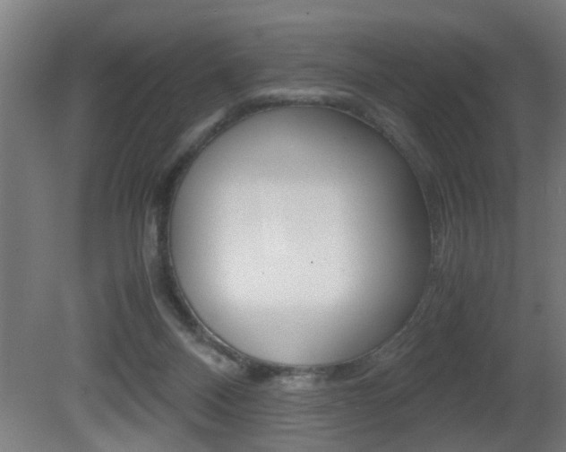 X0000081310120200701111012
