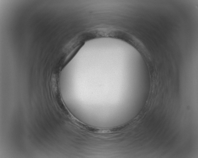 X0000081310121200701111012