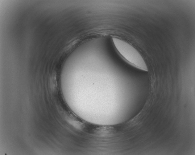 X0000081310128200701111012