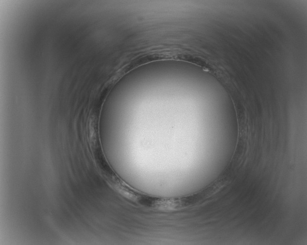 X0000081310131200701111012