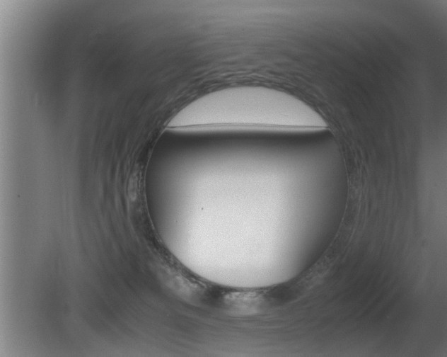 X0000081310133200701111012