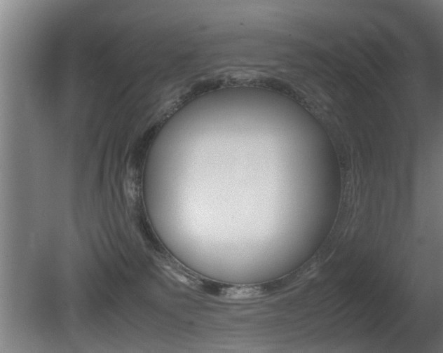 X0000081310135200701111012