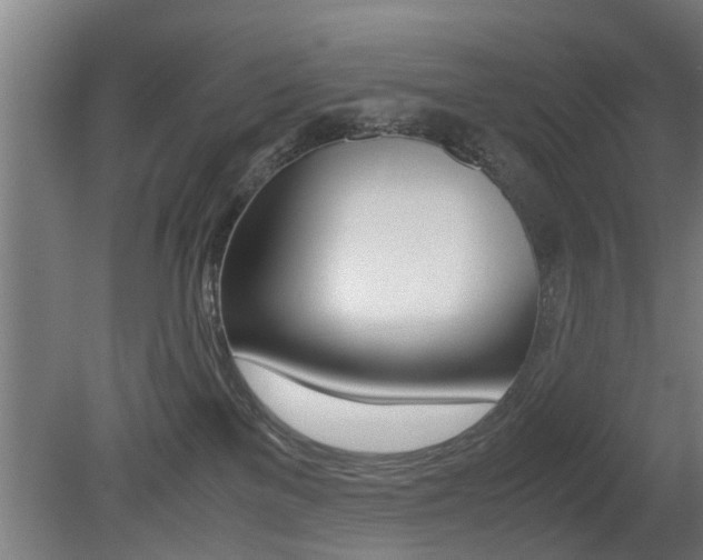 X0000081310137200701111012