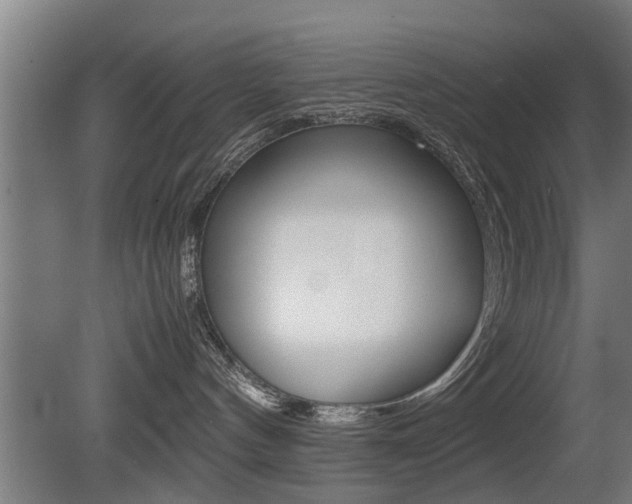 X0000081310144200701111012