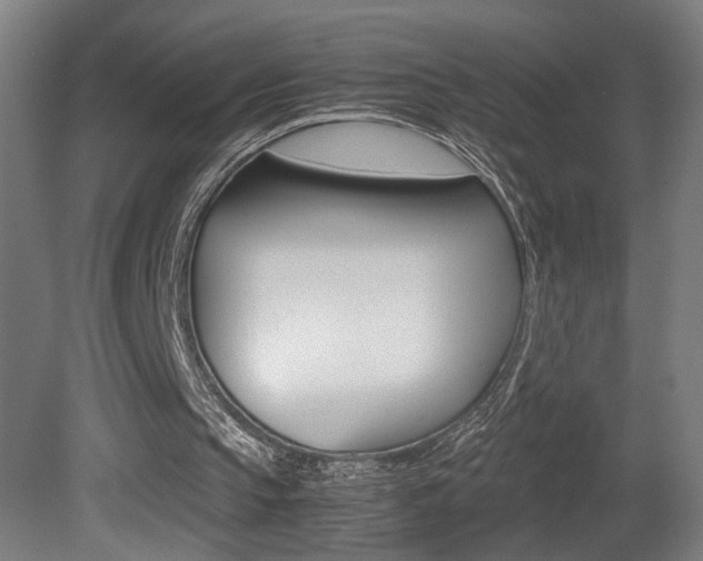 X0000081310145200701111011