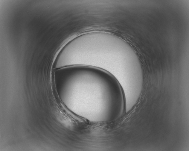 X0000081310148200701111011