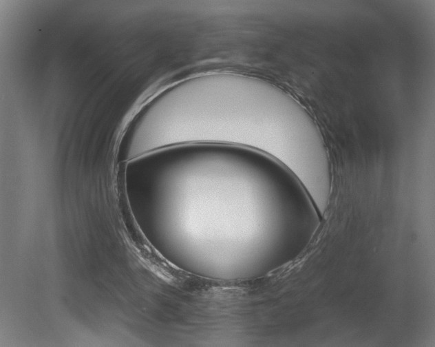 X0000081310150200701111011