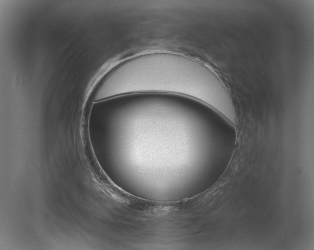 X0000081310152200701111011