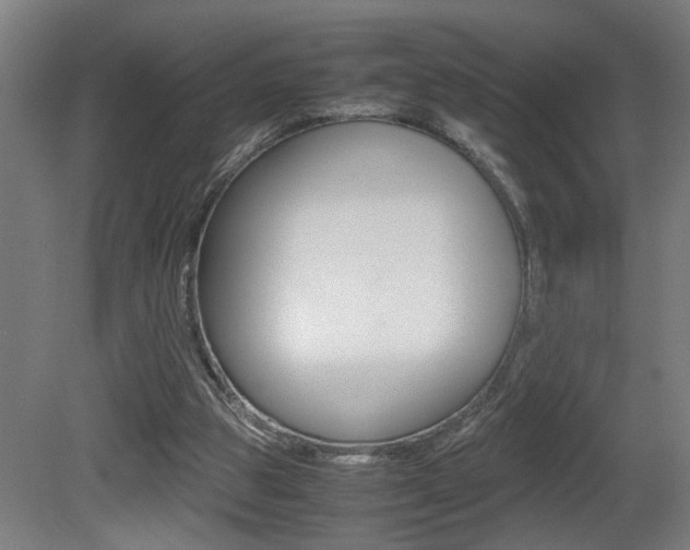 X0000081310153200701111011