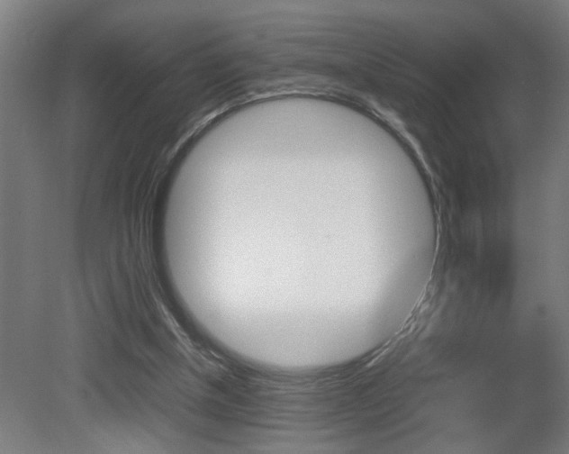 X0000081310154200701111011