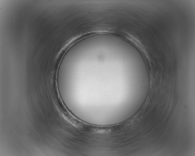 X0000081310155200701111011