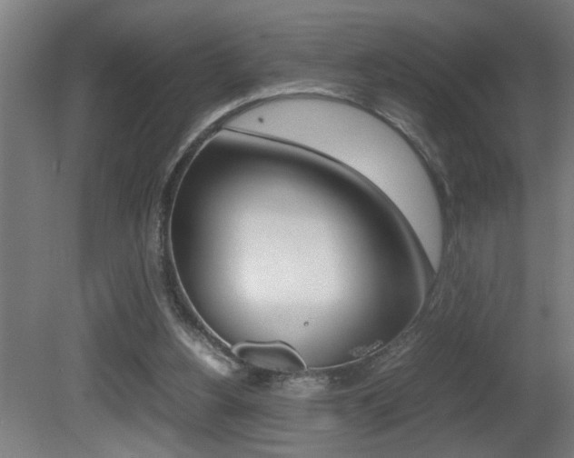 X0000081310156200701111011