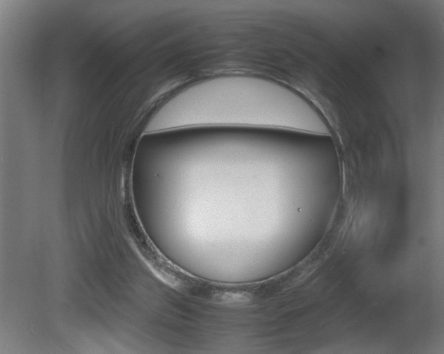 X0000081310157200701111011